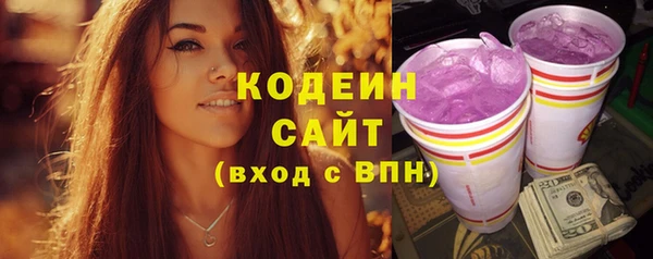 хмурый Арсеньев