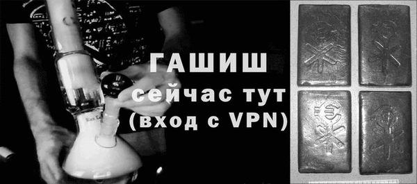 хмурый Арсеньев