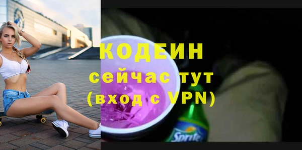 хмурый Арсеньев
