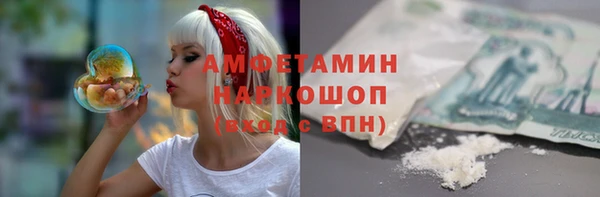 хмурый Арсеньев