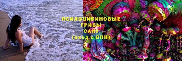 хмурый Арсеньев