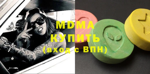 хмурый Арсеньев